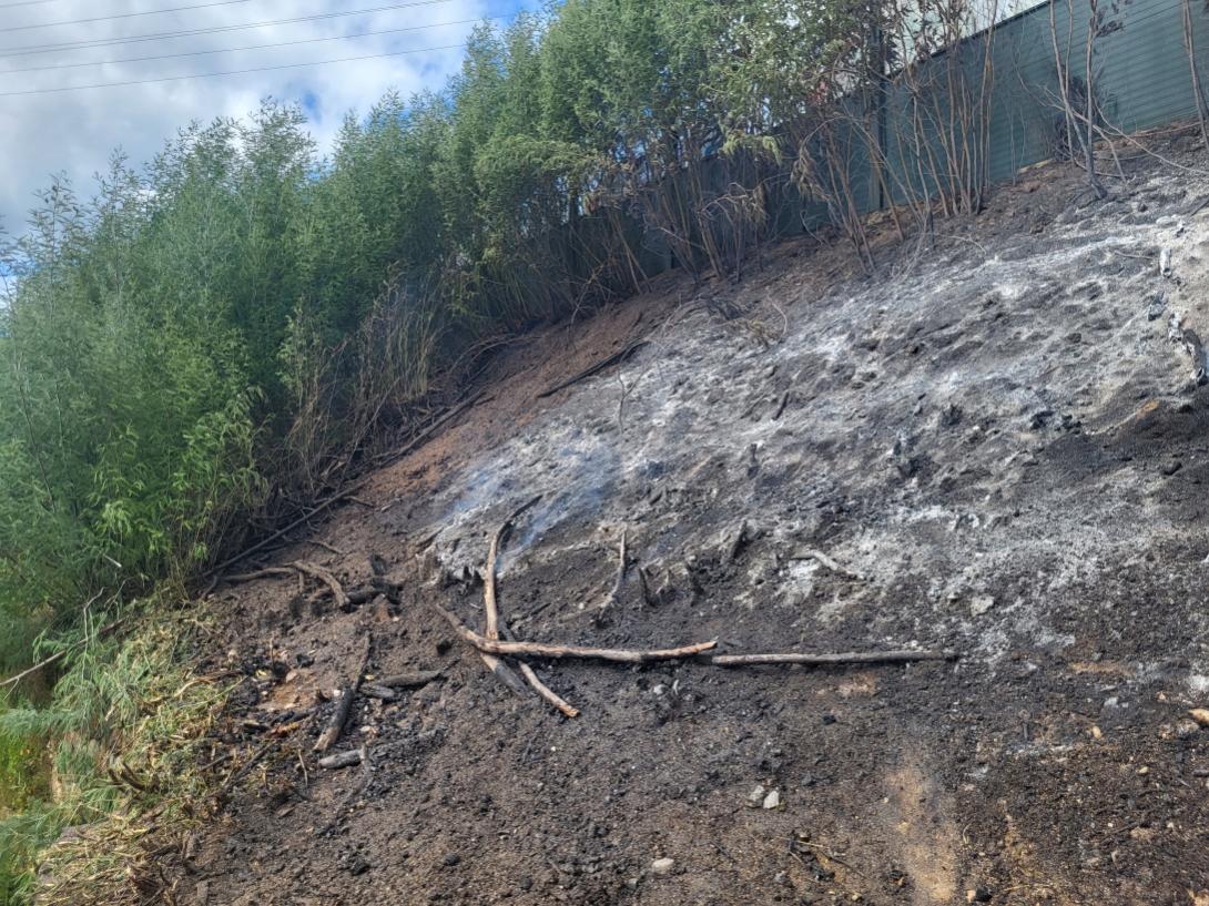 Incendio Santa Cruz de Arrabaldo de Ourense