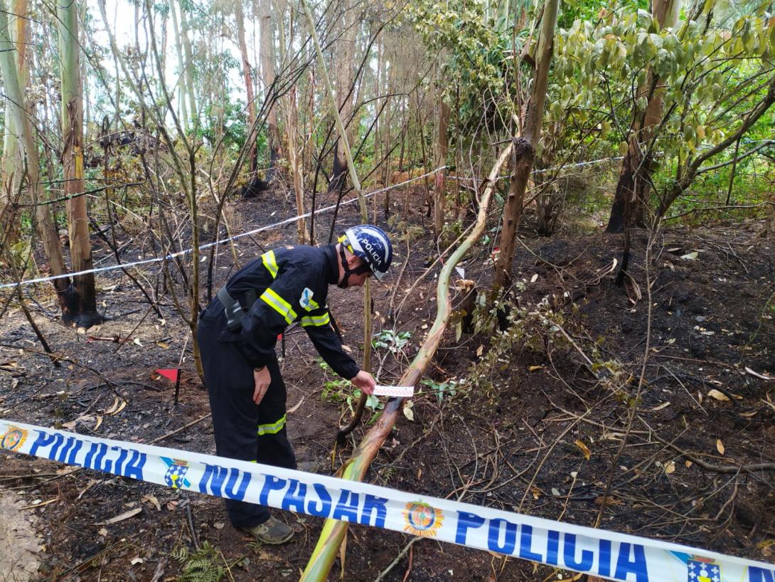 Policía Nacional Investigación Incendios Forestales